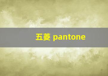 五菱 pantone